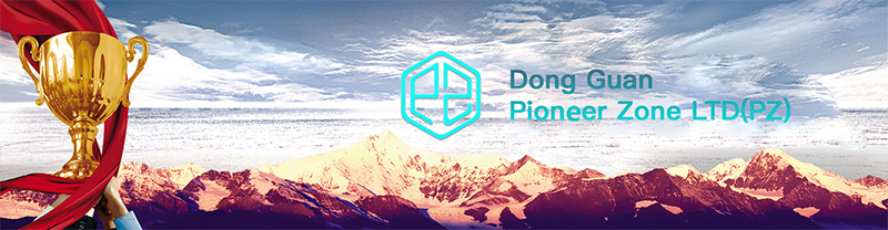 Dongguan Pioneer Zone Fixture Co., Ltd.